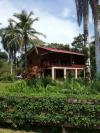 Photo of Single Family Home For sale in Isla Colon, Bocas del Toro, Panama
