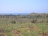 Photo of Lots/Land For sale in Pescadero, Los Cerritos, Baja California Sur, Mexico - Sin Nombre #1661