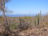 Photo of Farm/Ranch For sale in Ellais Calles, Baja California Sur, Mexico - Sin Nombre