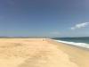 Photo of Lots/Land For sale in Todos Santos, Baja California Sur, Mexico - Camino del Calamares