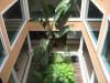 Photo of Apartment For sale or rent in Cascais, Lisbon, Portugal - Cascais