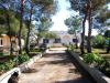 Photo of Single Family Home For sale in Nardò, Lecce, Italy - cenate