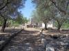 Photo of Farm/Ranch For sale in Galatone, Lecce, Italy