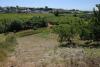 Photo of Lots/Land For sale in Bombarral, Silver Coast, Portugal - RV1204
