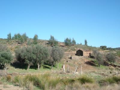 Farm/Ranch For sale in Alandroal, Alentejo, Portugal