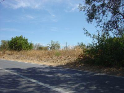 Lots/Land For sale in Loulé, Algarve, Portugal - Almancil