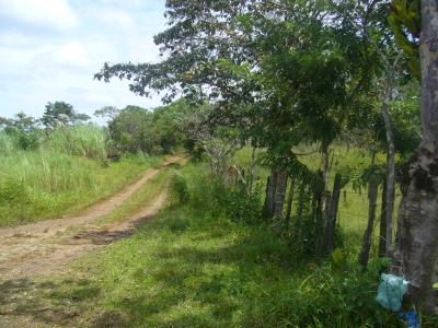 Lots/Land For sale in Maria Chiquita, Colon, Panama - Provincia de Colon, Distrito de Portobelo