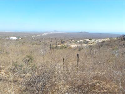 Lots/Land For sale in Cabo San Lucas, Baja California Sur, Mexico - Sin Nombre, Main Road