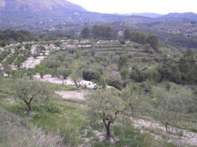 Lots/Land For sale in planes, alicante, Spain