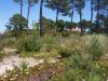 Photo of Lots/Land For sale in Sesimbra, Setubal, Portugal - Carrasqueira  