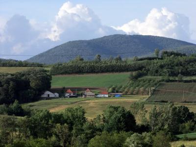 Farm/Ranch For sale in Ranilovic, Serbia, Yugoslavia - Ranilovic bb