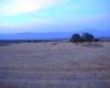 Photo of Farm/Ranch For sale in moreda, granada, Spain