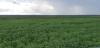 Photo of Farm/Ranch For sale in MATO GROSSO, MATO GROSSO, Brazil