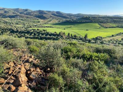 Lots/Land For sale in Dolianova, Cagliari, Italy - Via Mont'Arrubio Soleminis (CA)