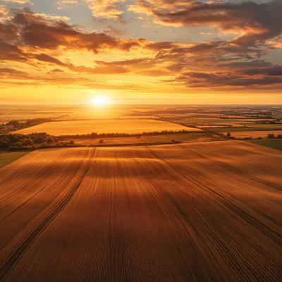 Lots/Land For sale in ARAD, ARAD, Romania Lots/Land For sale in ARAD, ARAD, Romania